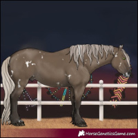 Horse Color:Gray White Spotted Silver Grullo Rabicano 