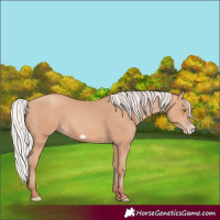 Horse Color:Silver Amber Champagne Frame 