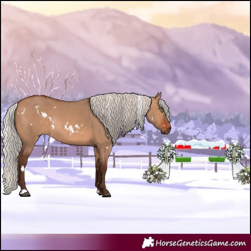 Horse Color:White Spotted Silver Brown Dun Rabicano 
