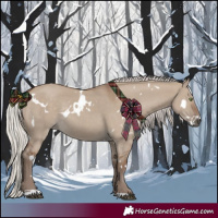 Horse Color:White Spotted Silver Grullo Rabicano
