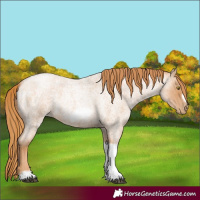 Horse Color:Red Roan Pearl Tobiano Frame