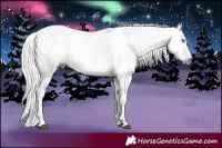 Horse Color:Gray White Spotted Silver Grullo Rabicano 