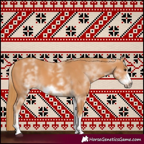 Horse Color:White Spotted Chestnut Sabino Frame 