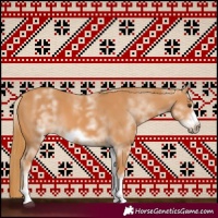 Horse Color:White Spotted Chestnut Sabino Frame