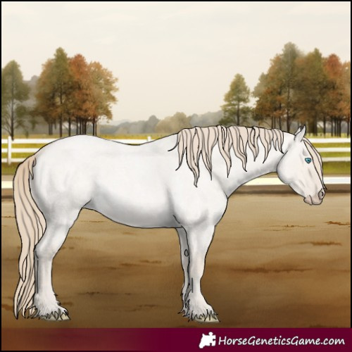 Horse Color:Smoky Creme Roan Dun