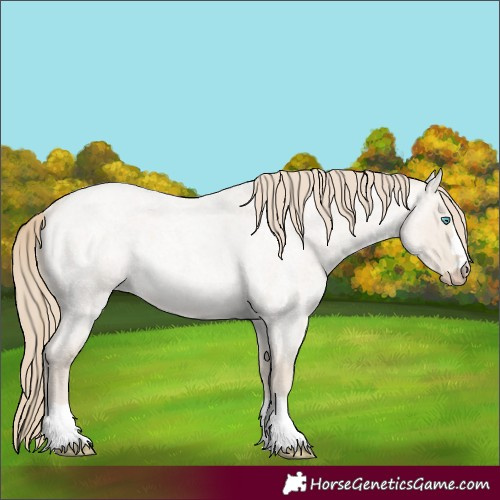Horse Color:Smoky Creme Roan Dun Rabicano