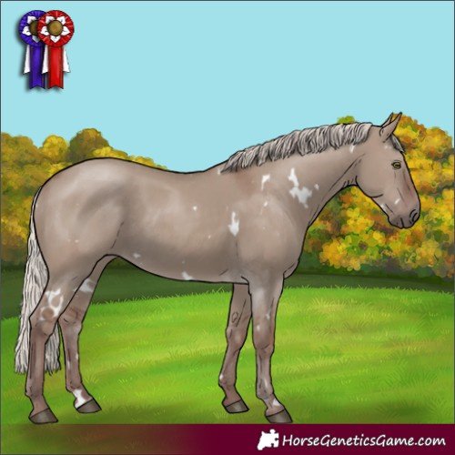 Horse Color:White Spotted Chocolate Silver Grullo Rabicano 