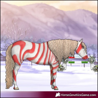 Horse Color:Gold Champagne Pearl Rabicano  and Gold Champagne Pearl Rabicano 