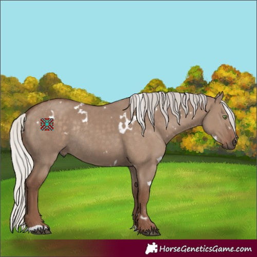 Horse Color:White Spotted Silver Grullo Rabicano 