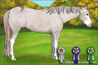 Horse Color:Chestnut Splash Varnish 