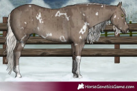 Horse Color:White Spotted Silver Grullo Tobiano Rabicano Brindle
