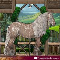 Horse Color:Chestnut Ice Sabino Rabicano and White Spotted Silver Grullo Rabicano