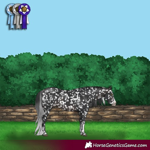 Horse Color:Platinum White Spotted Brown Snowflake Varnish