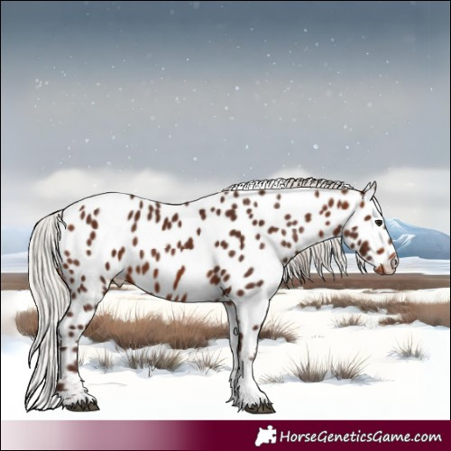 Horse Color:Silver Bay Tobiano Leopard 