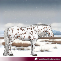 Horse Color:Silver Bay Tobiano Leopard 
