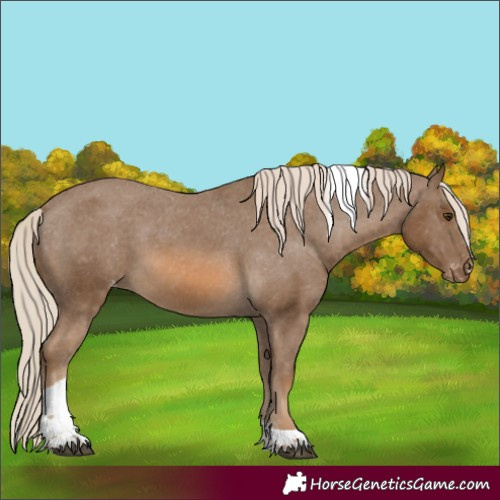 Horse Color:Chocolate Palomino Tobiano Varnish 