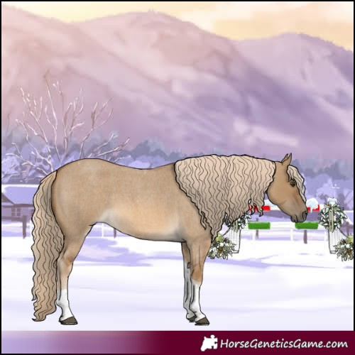 Horse Color:Chocolate Palomino Roan Dun Tobiano 