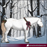 Horse Color:Chestnut Sabino