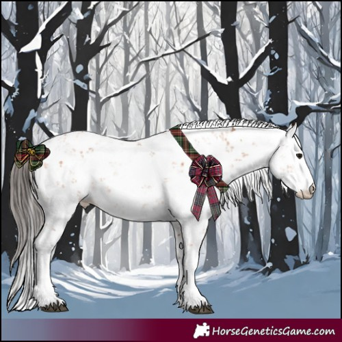 Horse Color:Bay Sabino