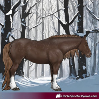 Horse Color:Liver Chestnut Tobiano Varnish 