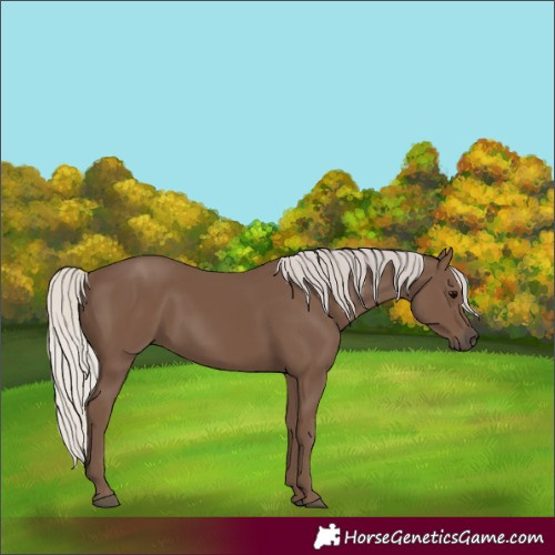 Horse Color:Silver Black 