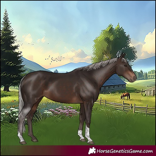 Horse Color:Silver Brown Tobiano 