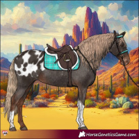 Horse Color:Liver Chestnut Tobiano Appaloosa