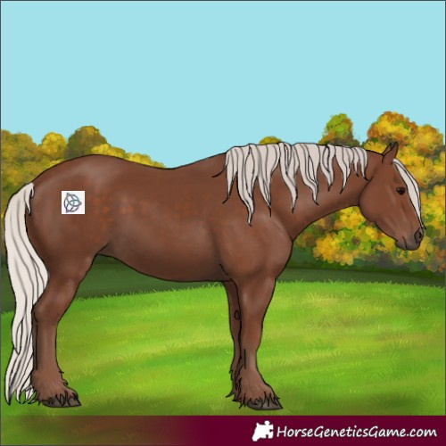Horse Color:Silver Black 