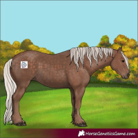 Horse Color:Silver Black 