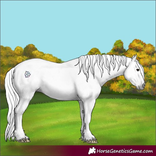 Horse Color:Gray Silver Black 