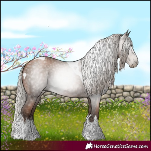 Horse Color:Gray White Spotted Silver Black Pearl Tobiano
