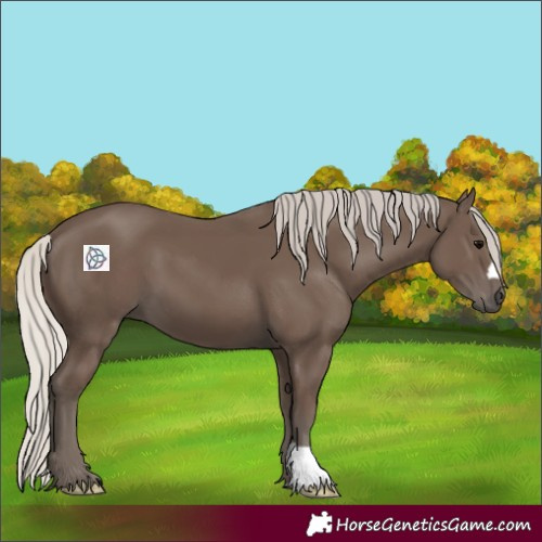 Horse Color:Silver Black 