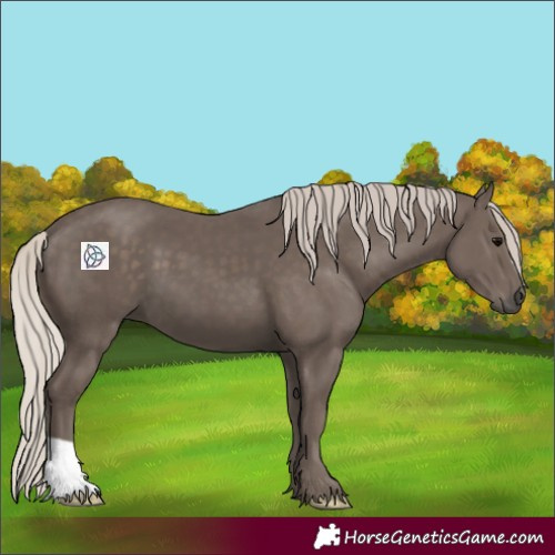 Horse Color:Silver Black 