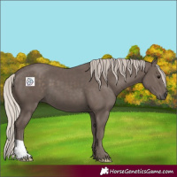 Horse Color:Silver Black