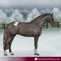 Horse Color:Liver Chestnut Tobiano Varnish 