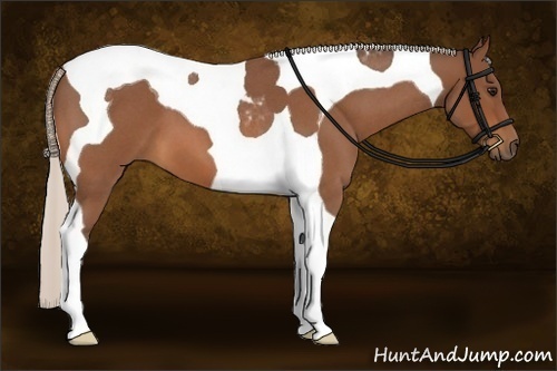 Horse Color:Silver Bay Roan Tobiano 