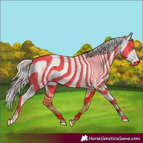Horse Color:Silver Amber Champagne Frame 