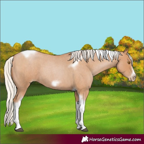 Horse Color:Silver Blue Roan Pearl Tobiano Frame