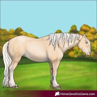 Horse Color:Silver Buckskin Pearl 