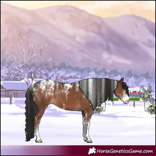 Horse Color:Powder White Liver Chestnut 