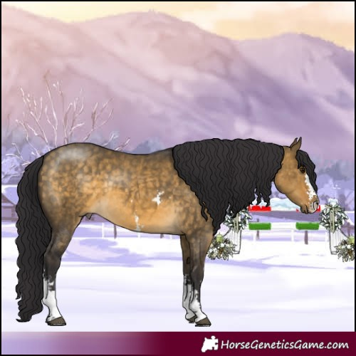 Horse Color:Buckskin Dun Sabino Rabicano Brindle 
