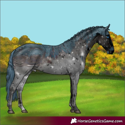 Horse Color:ERROR: UNKNOWN ANOMALY