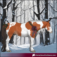 Horse Color:Bay Sabino Tobiano 
