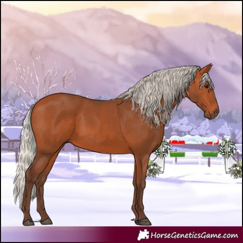 Horse Color:Silver Bay 