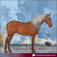Horse Color:Silver Bay 