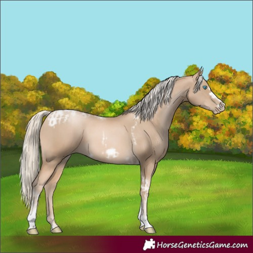 Horse Color:Chocolate Palomino Pearl Tobiano Frame  and Chocolate Palomino Pearl Tobiano Frame 