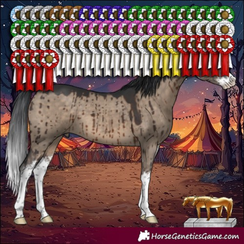 Horse Color:White Spotted Brown Dun Brindle