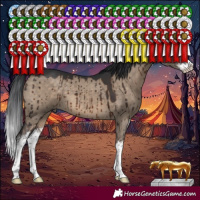 Horse Color:White Spotted Brown Dun Brindle 