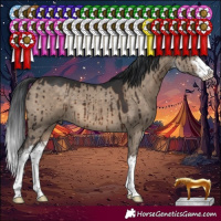 Horse Color:White Spotted Brown Dun Brindle 