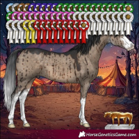 Horse Color:White Spotted Brown Dun Brindle